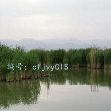ļ